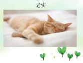 部编版语文四年级下册 13《猫》第二课时（课件）