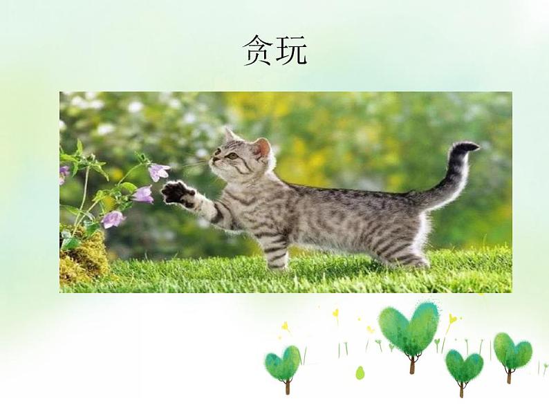 部编版语文四年级下册 13《猫》第二课时（课件）第5页