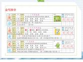 部编版语文二年级上册 第17课    难忘的泼水节（课件）