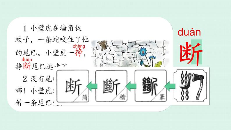 一年级下册语文部编版 21小壁虎借尾巴（课件）第8页