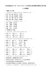 山东省临沂市三年（2020-2022）小升初语文卷真题分题型分层汇编-01选择题