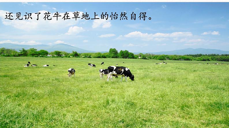 部编版四年级上册第一单元口语交际《我们与生活》课件+学案+教案30张PPT02