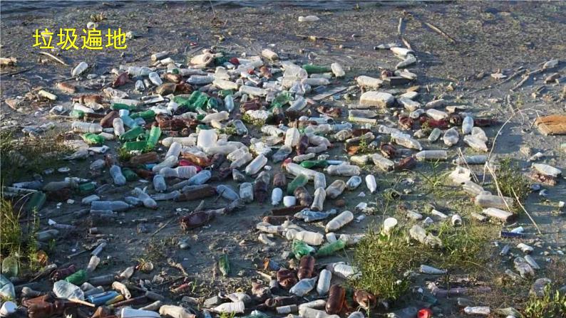 口语交际：我们与环境 课件 部编版语文四年级上册03