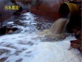口语交际：我们与环境 课件 部编版语文四年级上册