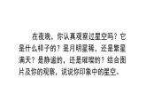 繁星  课件 部编版语文四年级上册