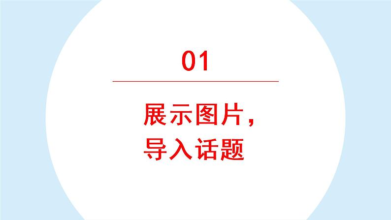 习作：小小“动物园” 课件 部编版语文四年级上册03