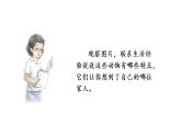 习作：小小“动物园” 课件 部编版语文四年级上册