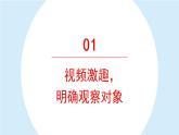 习作：写观察日记 课件 部编版语文四年级上册