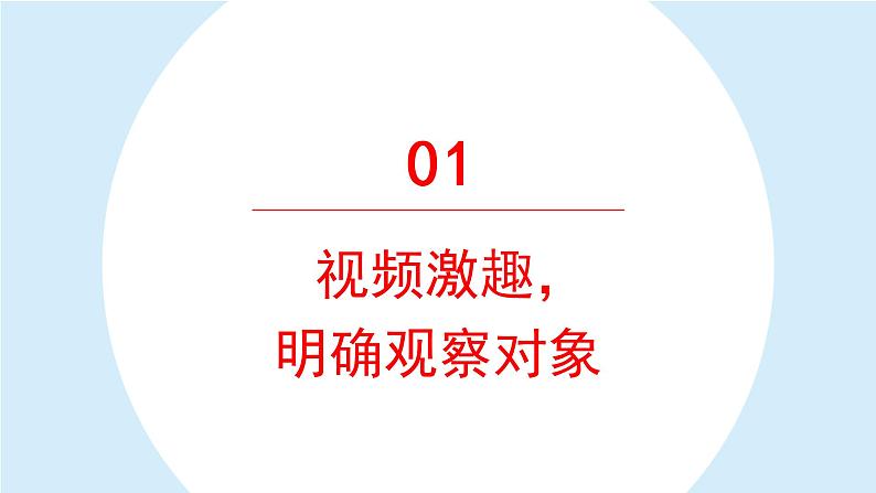 习作：写观察日记 课件 部编版语文四年级上册04