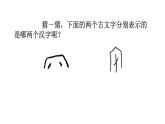 蟋蟀的住宅 课件 部编版语文四年级上册