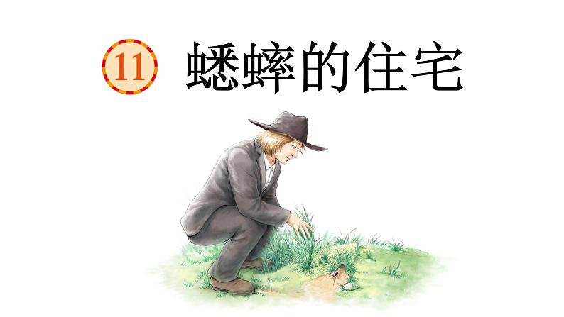 蟋蟀的住宅 课件 部编版语文四年级上册第7页