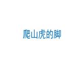 爬山虎的脚 课件 部编版语文四年级上册