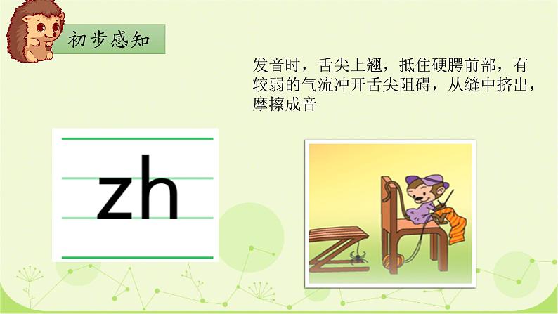 部编版1上语文8《zh ch sh r》课件+教案04