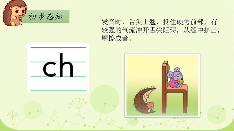 部编版1上语文8《zh ch sh r》课件+教案05