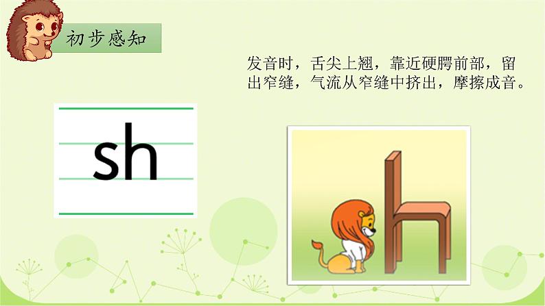 部编版1上语文8《zh ch sh r》课件+教案06