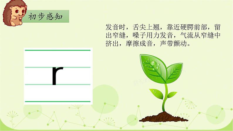 部编版1上语文8《zh ch sh r》课件+教案07