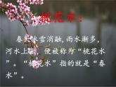 四年级语文下册课件-第1单元4《三月桃花水》人教部编版(共13张PPT)