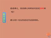 四年级语文下册课件-5 琥珀7-部编版(共14张PPT)