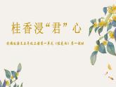 1.3《桂花雨》（第一课时）课件+教案