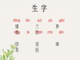 1.3《桂花雨》（第一课时）课件+教案