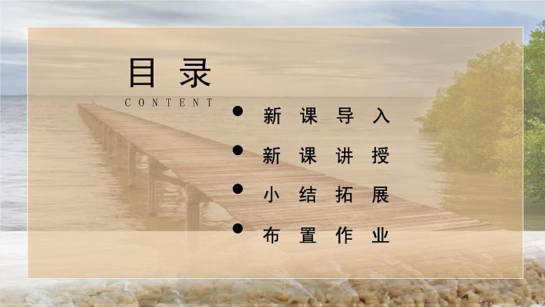 13桥第二课时课件+教案02