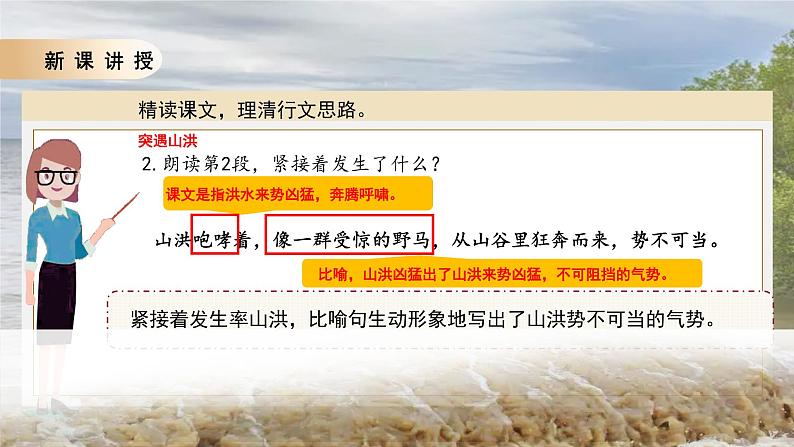 13桥第二课时课件+教案07