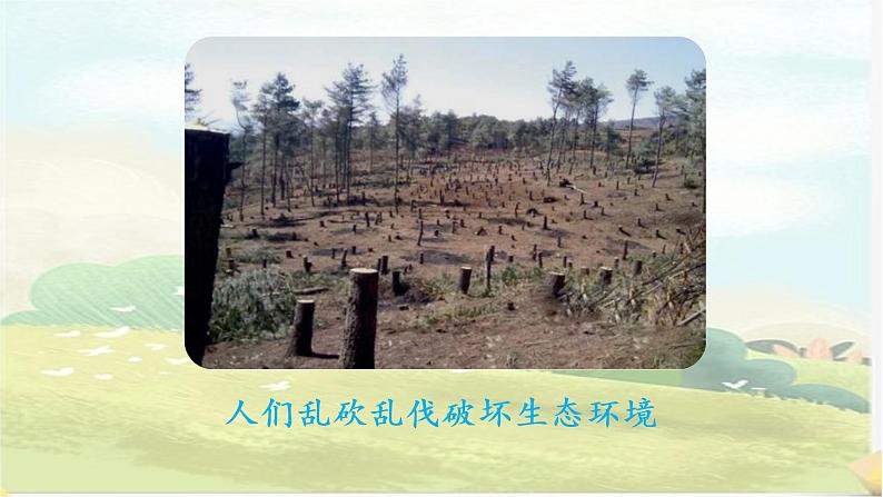 部编版语文四上口语交际1：《我们与环境》课件+教案07