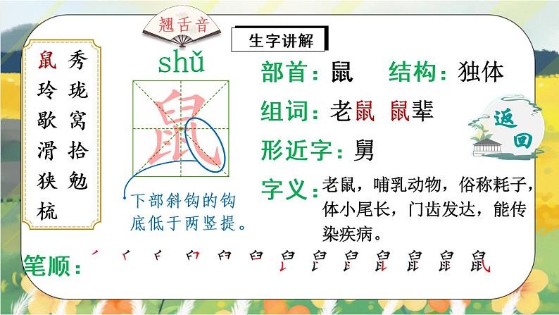 17《松鼠》课件PPT+生字课件+教案+练习+音视频素材03