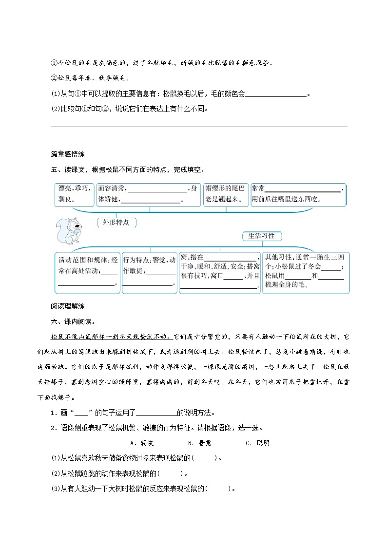 17《松鼠》课件PPT+生字课件+教案+练习+音视频素材02