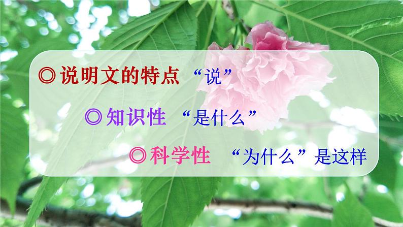 部编版语文五年级上册  交流平台：初试身手  课件PPT+教案04