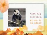 部編版語(yǔ)文二年級(jí)上冊(cè)《口語(yǔ)交際：有趣的動(dòng)物》PPT課件+教案