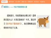10《在牛肚子里旅行》（课件）部编版语文三年级上册