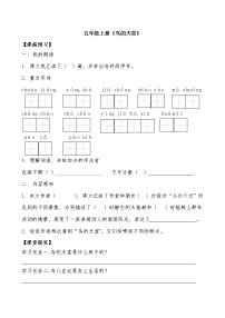 小学语文人教部编版五年级上册第七单元23 鸟的天堂学案及答案