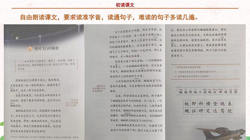 部编版语文四年级上册《夜间飞行的秘密》第一课时课件PPT+教案07