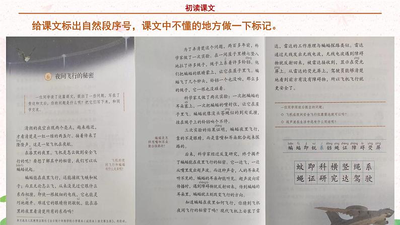 部编版语文四年级上册《夜间飞行的秘密》第一课时课件PPT+教案08