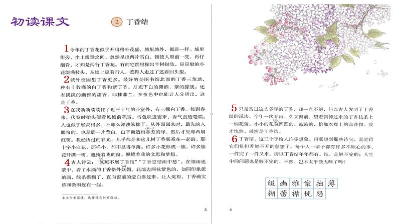 1.2《丁香结》（第一课时）课件+教案03