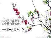 1.4《花之歌》课件+教案+练习