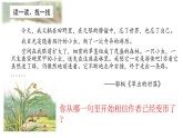 第一单元《习作：变形记》课件+教案