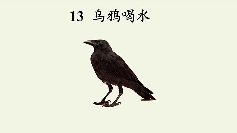 人教部编版语文一年级上册课文（四）13.乌鸦喝水  课件第1页