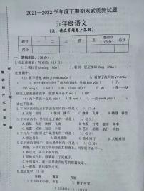 河南省洛阳市偃师区实验小学2021-2022学年五年级下学期期末素质测试语文试题（无答案）