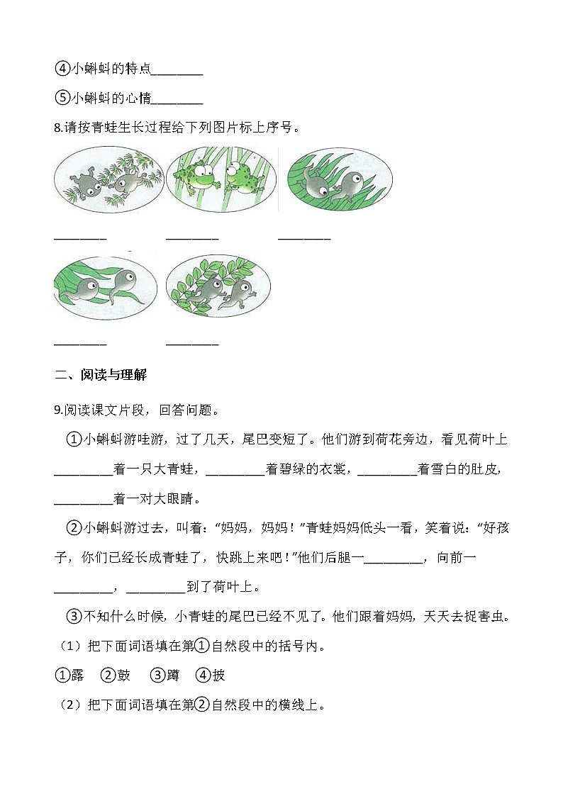 二年级上册语文部编版课时练第1课《小蝌蚪找妈妈》01（含答案）03