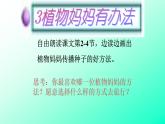 人教部编版语文二年级上册课文（一）3.课件植物妈妈有办法 课件