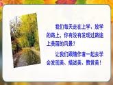 三年级上册《铺满金色巴掌的水泥道》　课件
