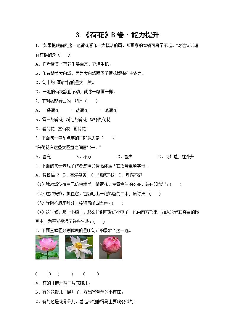 部编版 三年级下册语文3.《荷花》B卷·能力提升（学生版+解析版）01