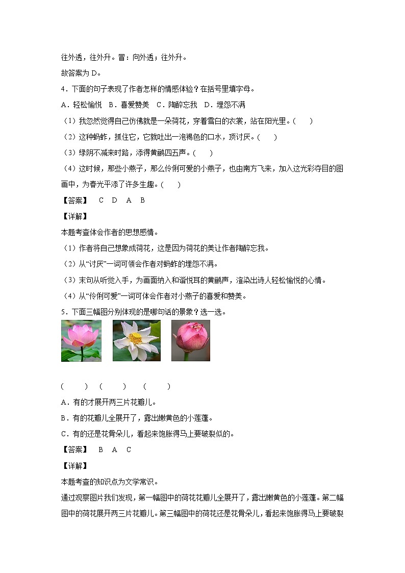 部编版 三年级下册语文3.《荷花》B卷·能力提升（学生版+解析版）02