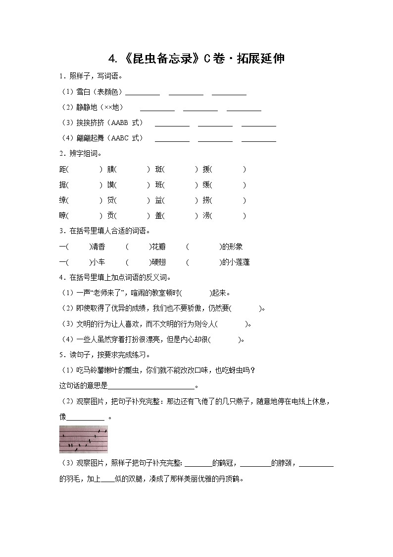 部编版 三年级下册语文4.《昆虫备忘录》C卷·拓展延伸（学生版+解析版）01