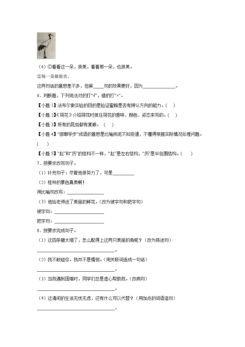 部编版 三年级下册语文4.《昆虫备忘录》C卷·拓展延伸（学生版+解析版）02