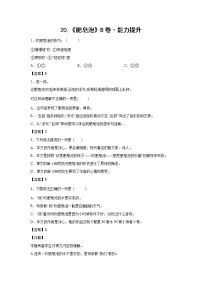 小学语文人教部编版三年级下册20 肥皂泡随堂练习题