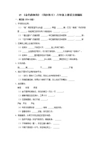 人教部编版六年级上册15 金色的鱼钩课后测评