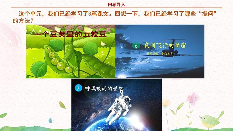 部编版语文四年级上册《蝴蝶的家》课件PPT+教案04